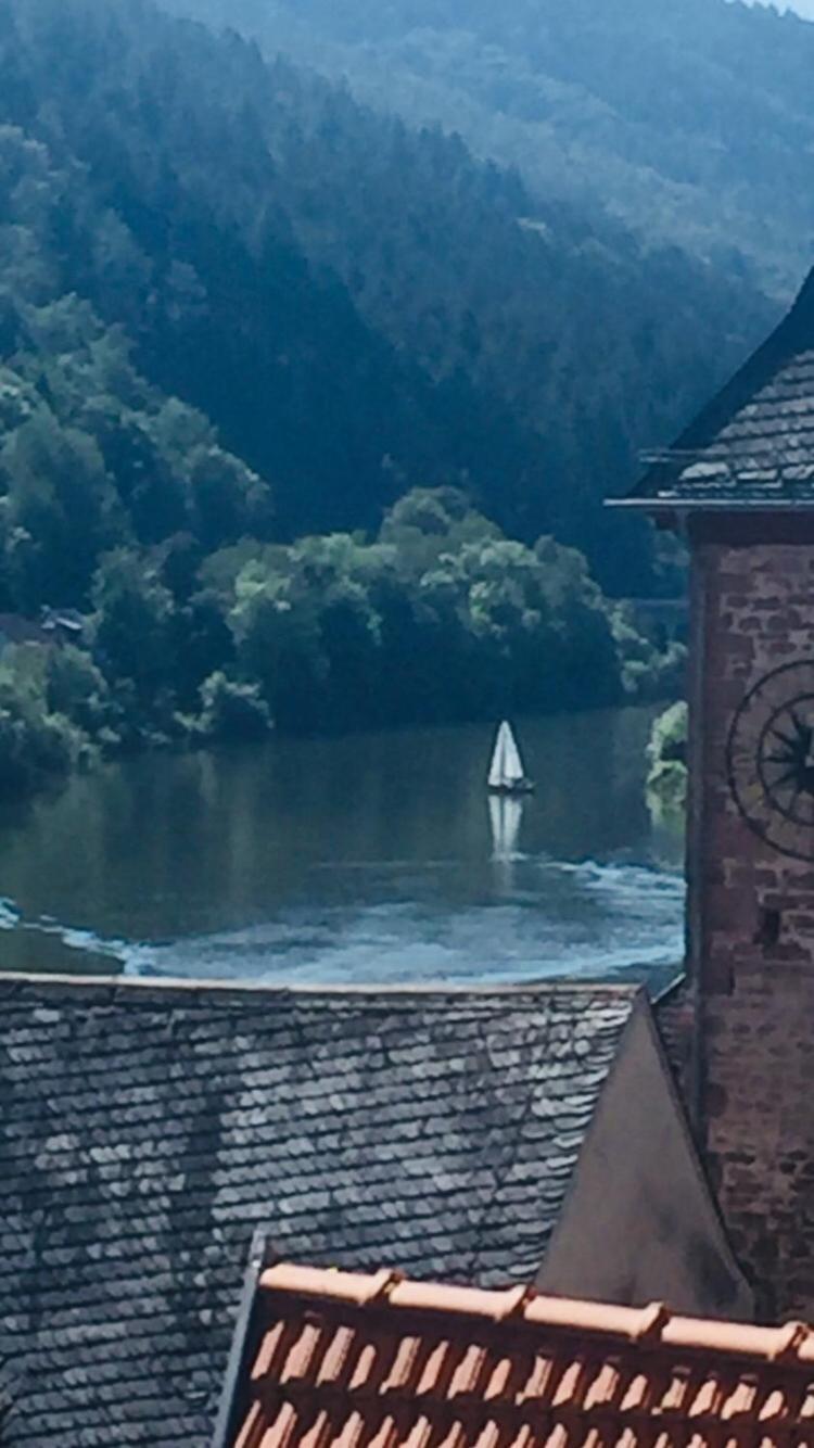 Natur Und Neckarblick Bei Heidelberg Hirschhorn Dış mekan fotoğraf