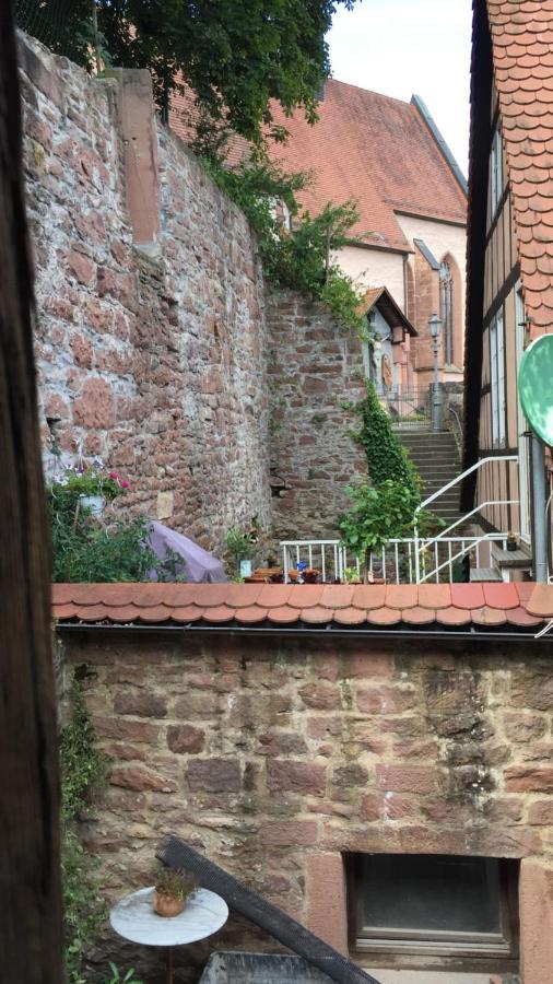 Natur Und Neckarblick Bei Heidelberg Hirschhorn Dış mekan fotoğraf
