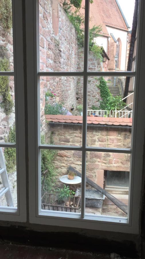 Natur Und Neckarblick Bei Heidelberg Hirschhorn Dış mekan fotoğraf