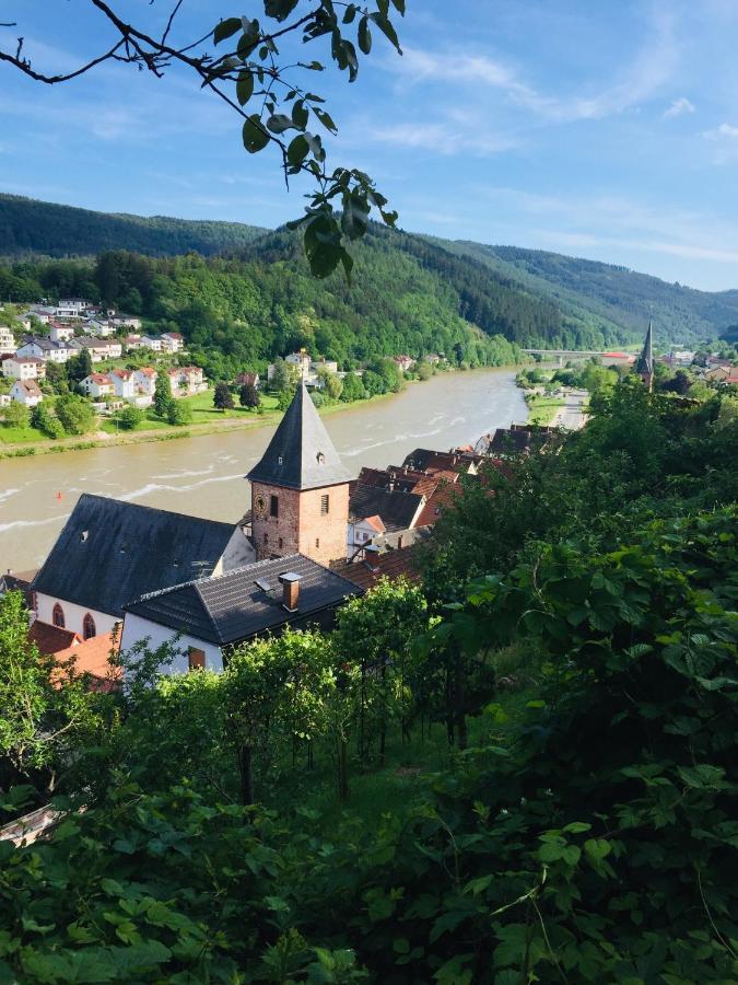 Natur Und Neckarblick Bei Heidelberg Hirschhorn Dış mekan fotoğraf