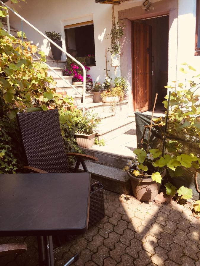 Natur Und Neckarblick Bei Heidelberg Hirschhorn Dış mekan fotoğraf