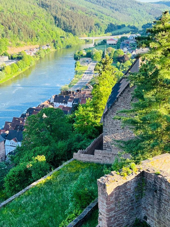 Natur Und Neckarblick Bei Heidelberg Hirschhorn Dış mekan fotoğraf