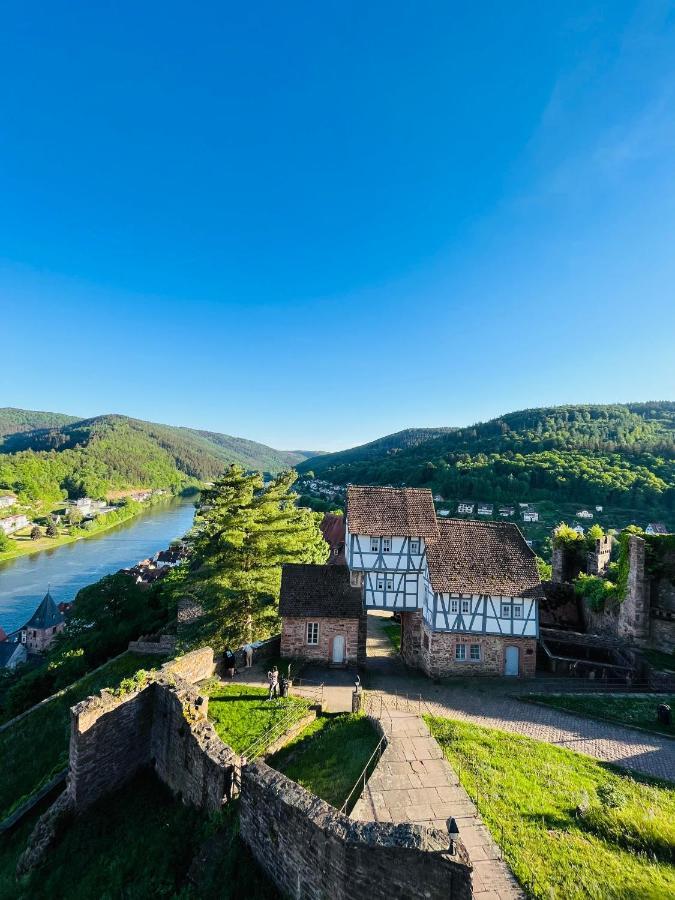 Natur Und Neckarblick Bei Heidelberg Hirschhorn Dış mekan fotoğraf