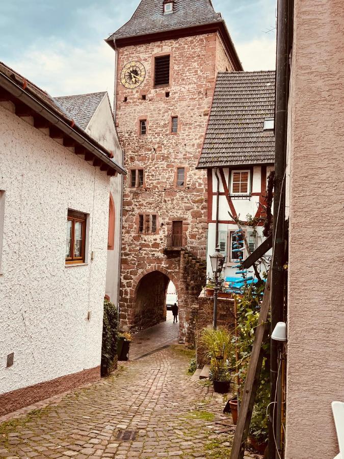 Natur Und Neckarblick Bei Heidelberg Hirschhorn Dış mekan fotoğraf