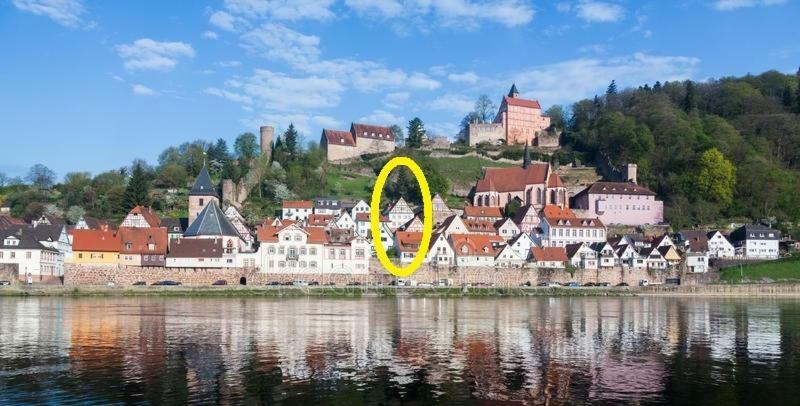 Natur Und Neckarblick Bei Heidelberg Hirschhorn Dış mekan fotoğraf