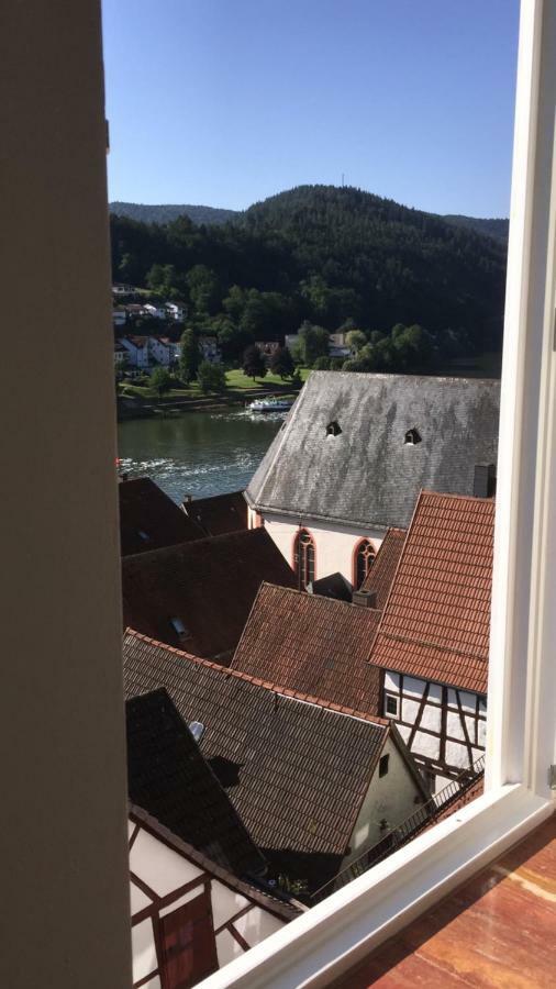 Natur Und Neckarblick Bei Heidelberg Hirschhorn Dış mekan fotoğraf